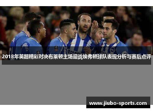 2018年英超精彩对决布莱顿主场迎战埃弗顿球队表现分析与赛后点评